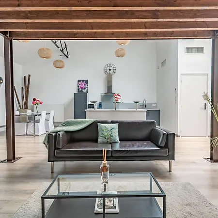 Appartement Loft & Le Faubourg Saint Martin Senlis (Oise)