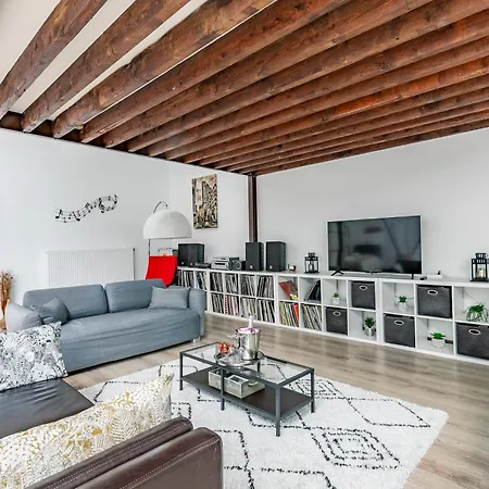 Apartment Loft & Le Faubourg Saint Martin *